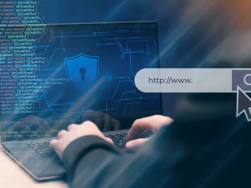 Web Application VAPT